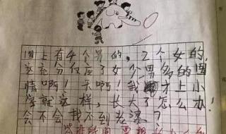 小猫的作文 小猫的作文